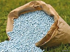 29_01_2022-chemical_fertilizer
