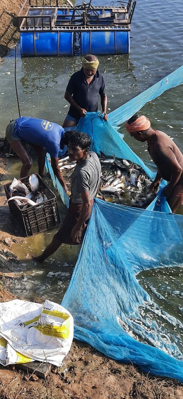 41D0151583C0E17417E83B7AFCB6748D