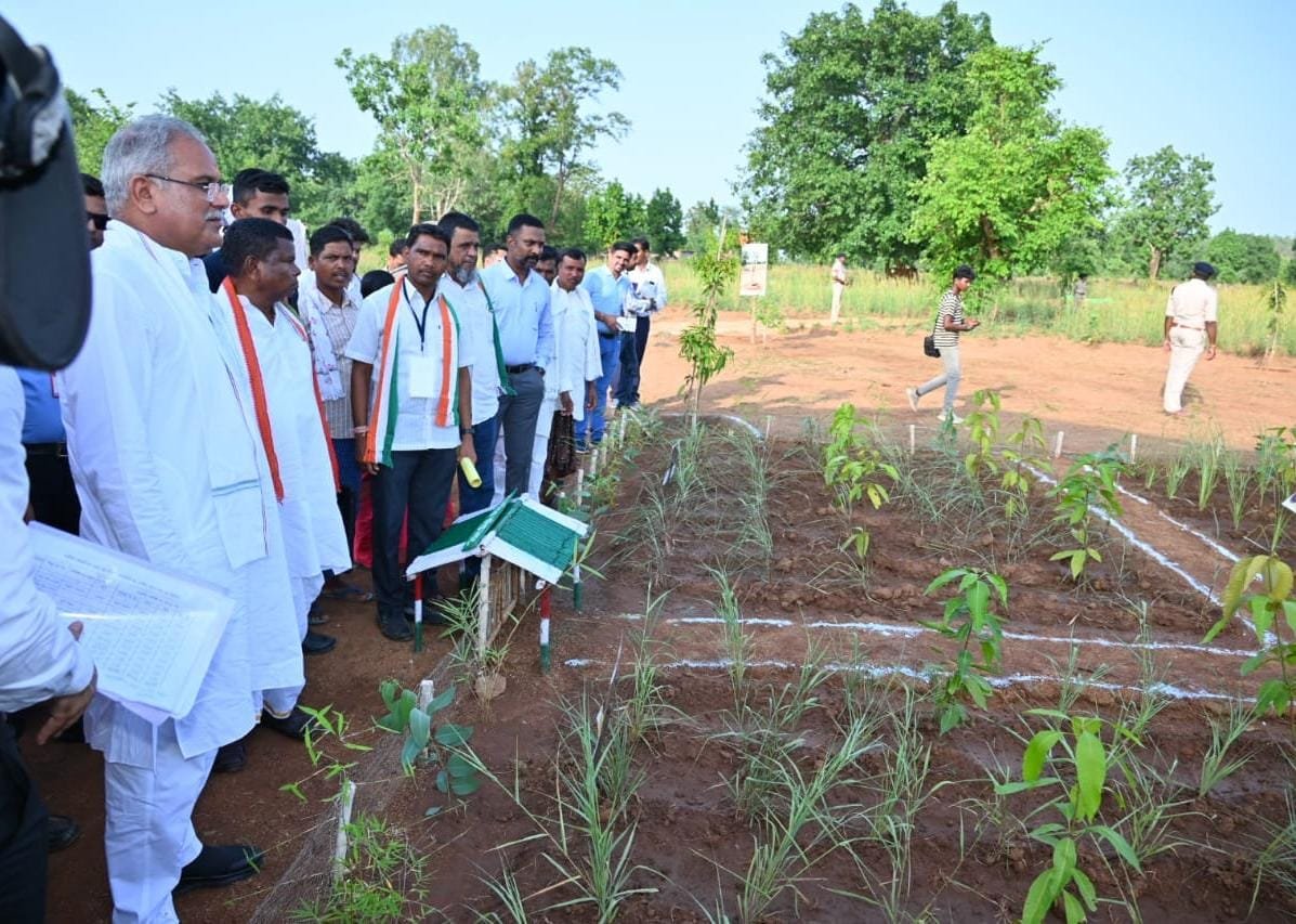 रायपुर : बेस्ट क्वालिटी अल्फांजों आम की प्रदेश की पहली अमराई राजागांव में