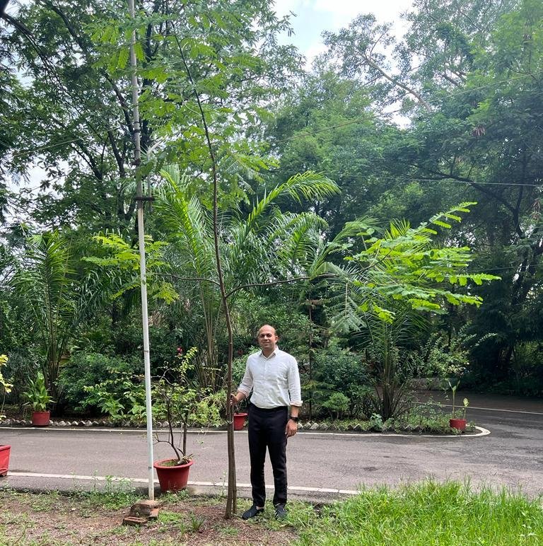 दुर्ग : दो साल पहले वन होम वन ट्री महाअभियान में घरों में रोपे थे पौधे, अब बन रहे वृक्ष