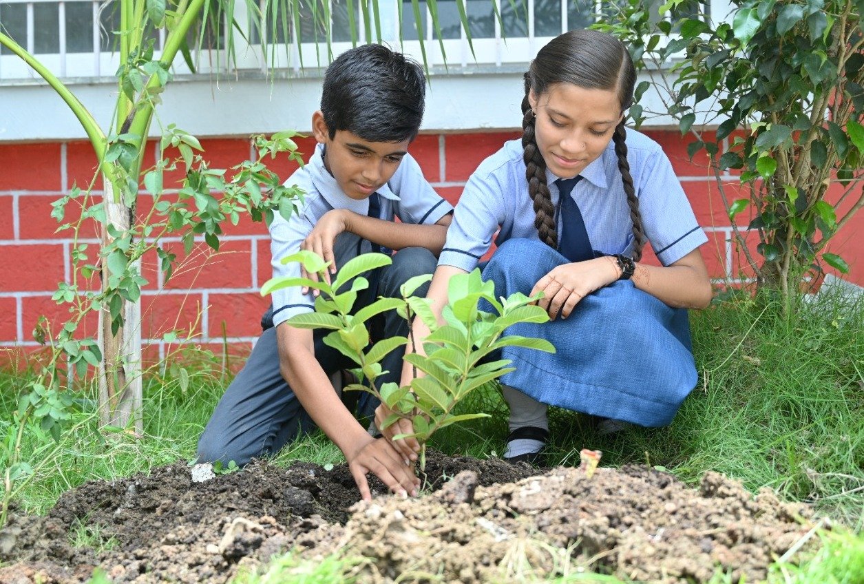 रायपुर : हर घर पौधा लगाने एकजुट हुआ रायपुर