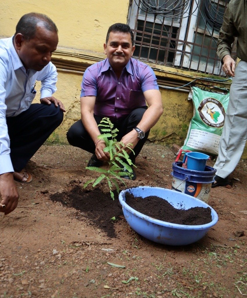 रायपुर : धरती एवं जीवन को सुरक्षित रखने के लिए पर्यावरण संरक्षण जरूरी-पी. दयानंद