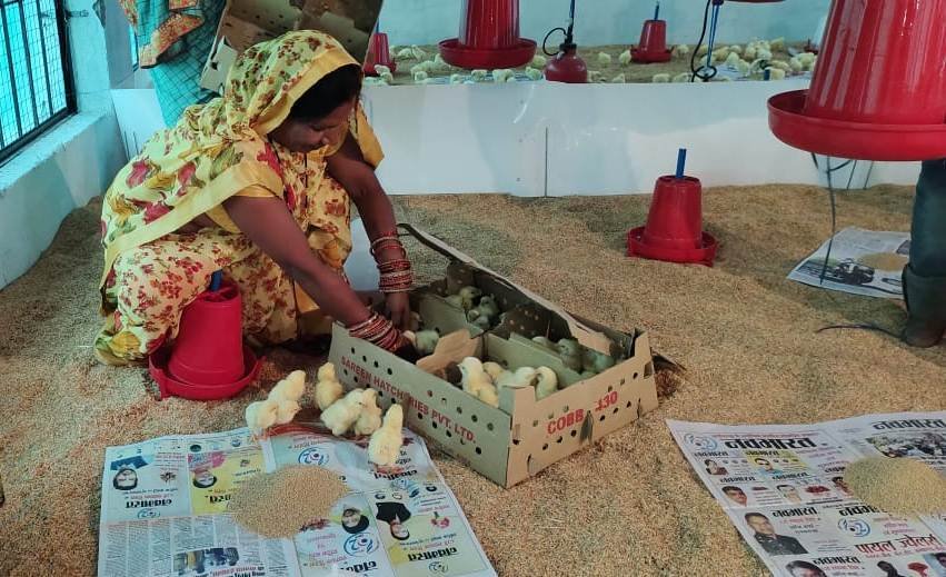 राजनांदगांव:शासन की सुराजी गांव योजना क्रांति के रूप में ग्रामीण क्षेत्रों में महिलाओं में जागृति लाने की बनी एक वजह