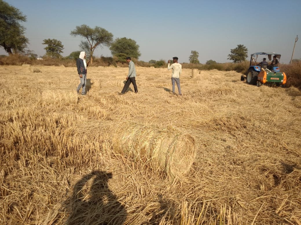 रायपुर : भूमि की उर्वरा शक्ति बढ़ाने और पर्यावरण संरक्षण को ध्यान में रखते हुए किसान कर रहे हैं पैरादान