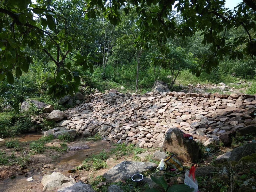 अम्बिकापुर : नरवा ट्रीटमेंट से केंदली नाला को मिला नवजीवन