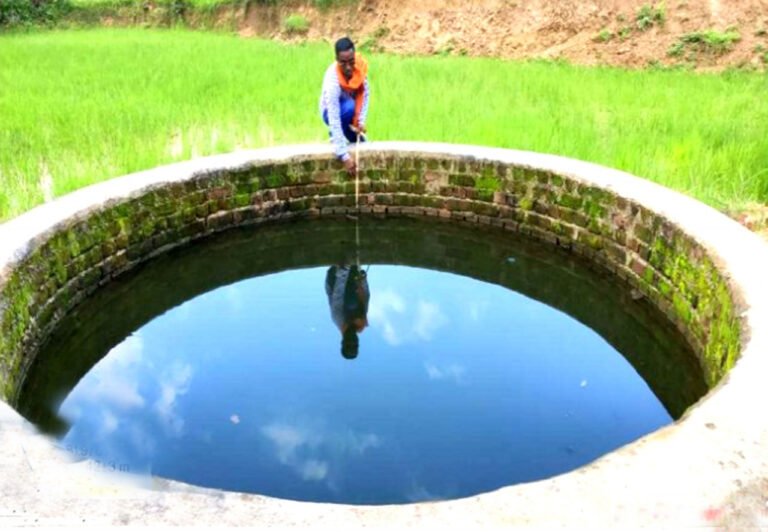 बिलासपुर : मनरेगा से बने कुएं से खेती कर बढ़ाया मुनाफा धान के अलावा सब्जियों की कर रहे खेती