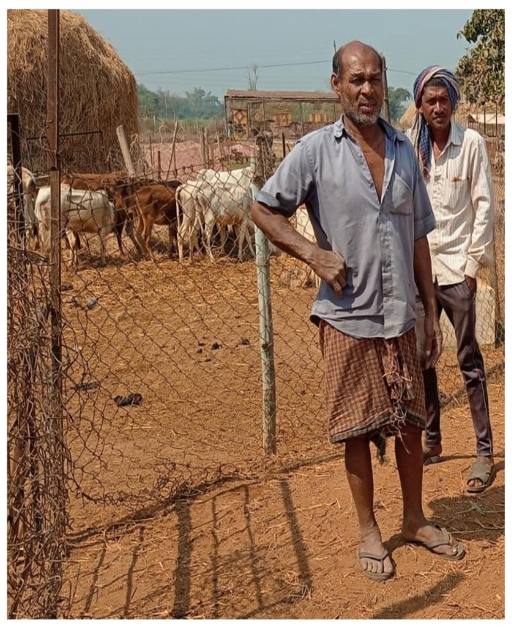 1685618259_52b3bcdae4c97ab60404