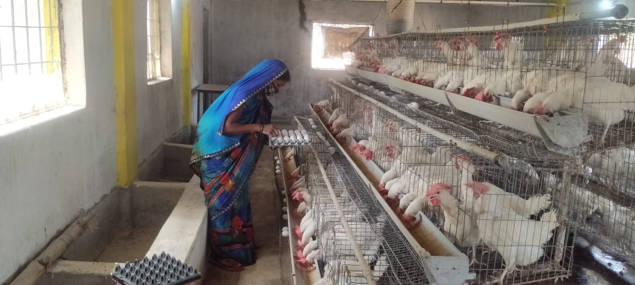 1685699456_7294a4bbeaf7525383bb