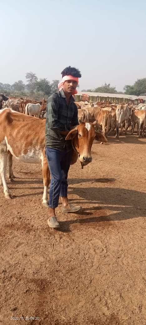 1685720755_d88a344a3e7754fc74d7