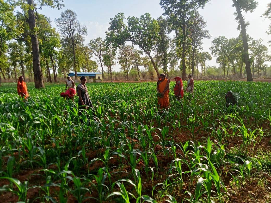 1685791925_e475a476803ea784f588