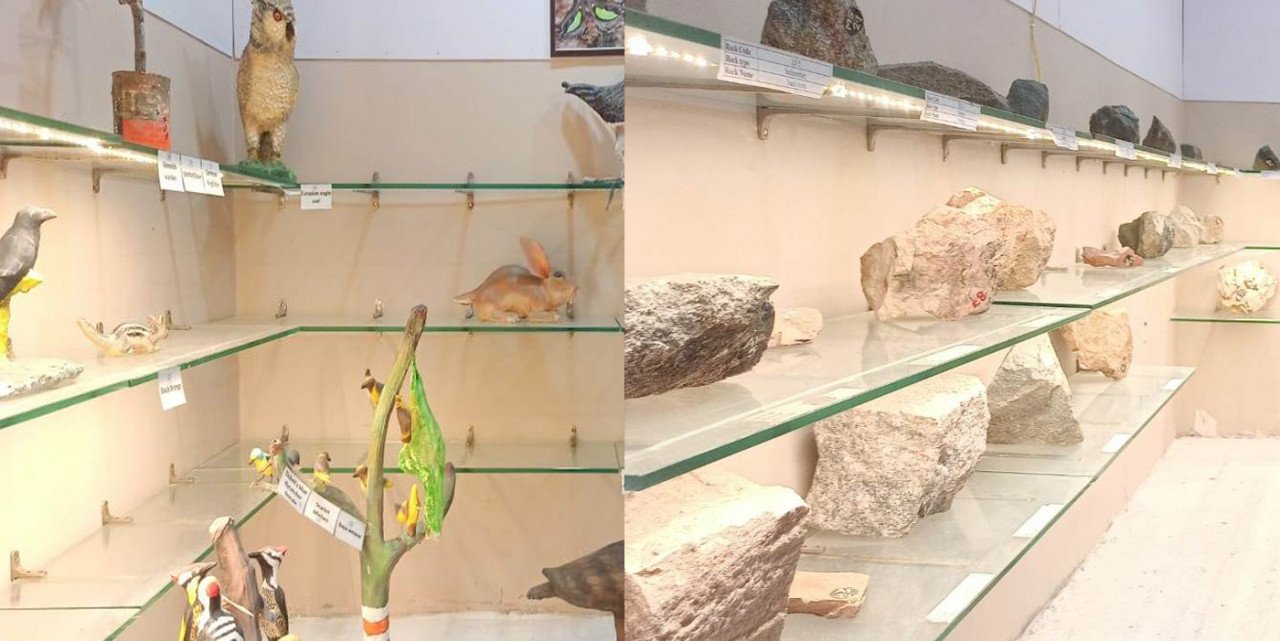 1685896163_396995fe2680446b0409