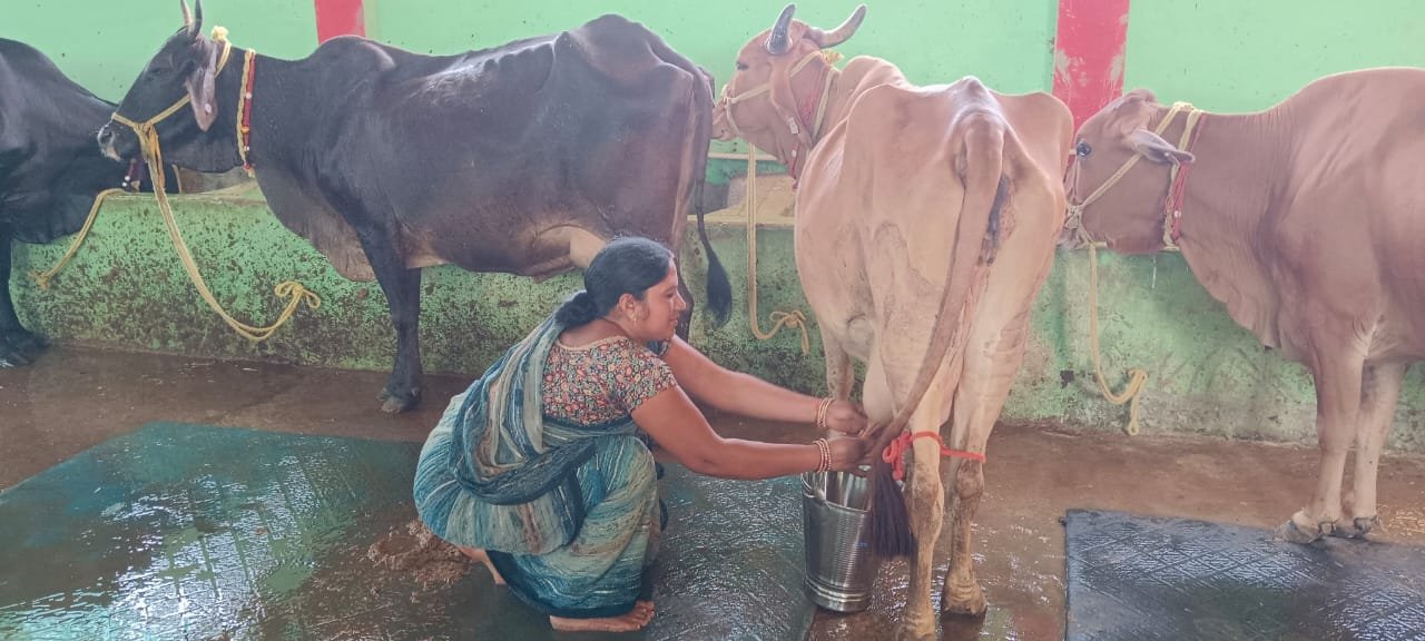 1686483367_2c29d6b3228ccc4fe900