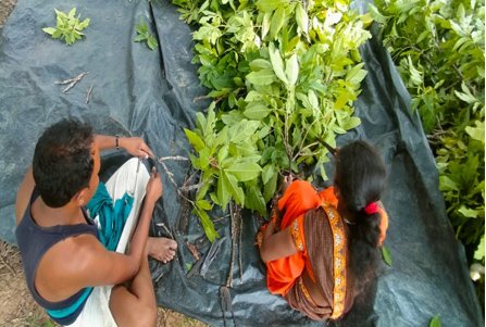 1687518752_edaeefd199a12536f58d