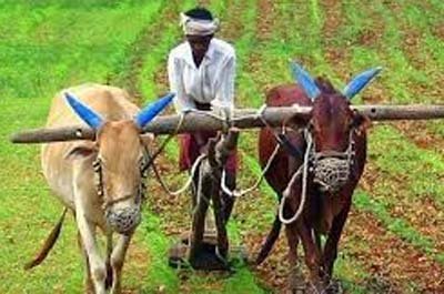 20230413192824_kisan fp