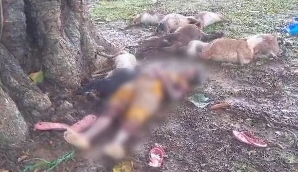 20230627112958_lightning