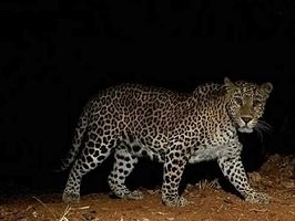 20230630110155_tenduaa