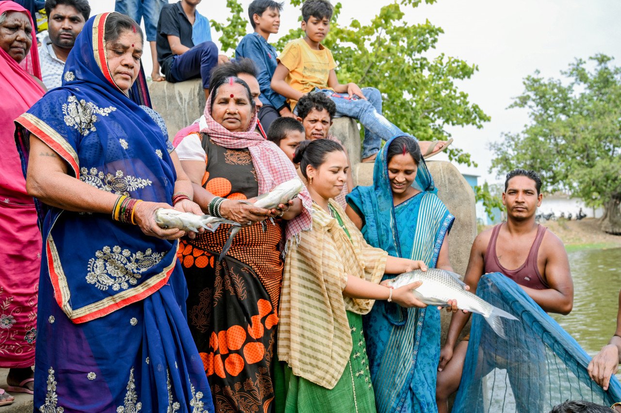 1688381595_a94930ae1d3fb1833aca