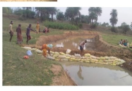 1688917130_3f51ffa67bd57b9aa77c