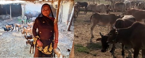 1690453984_fb9cc429a44372908143