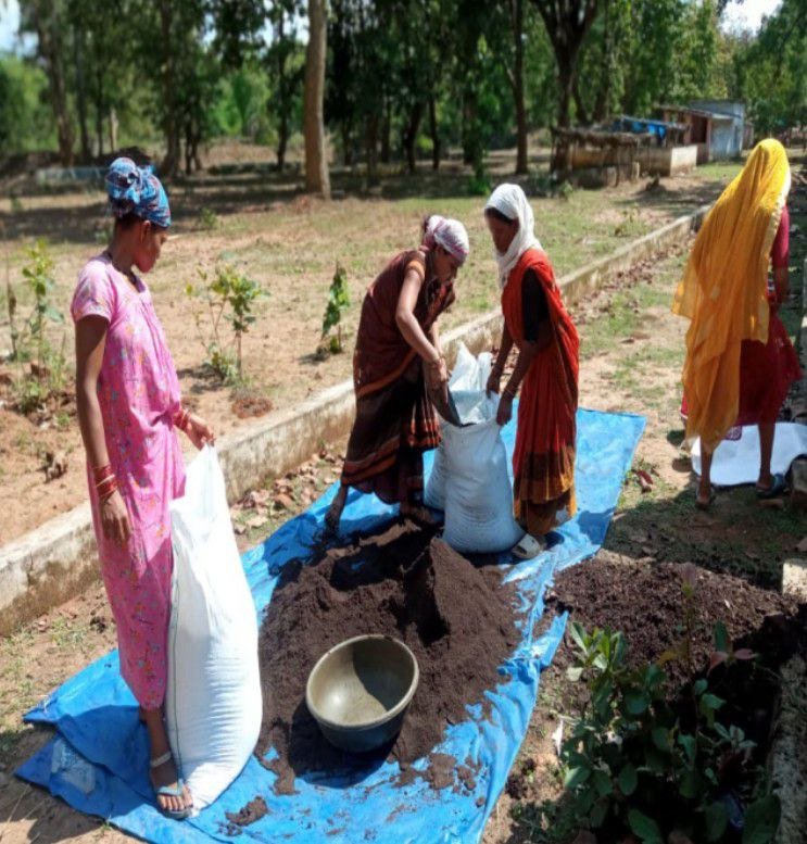 1690801183_92d67414a2fba012a2d6