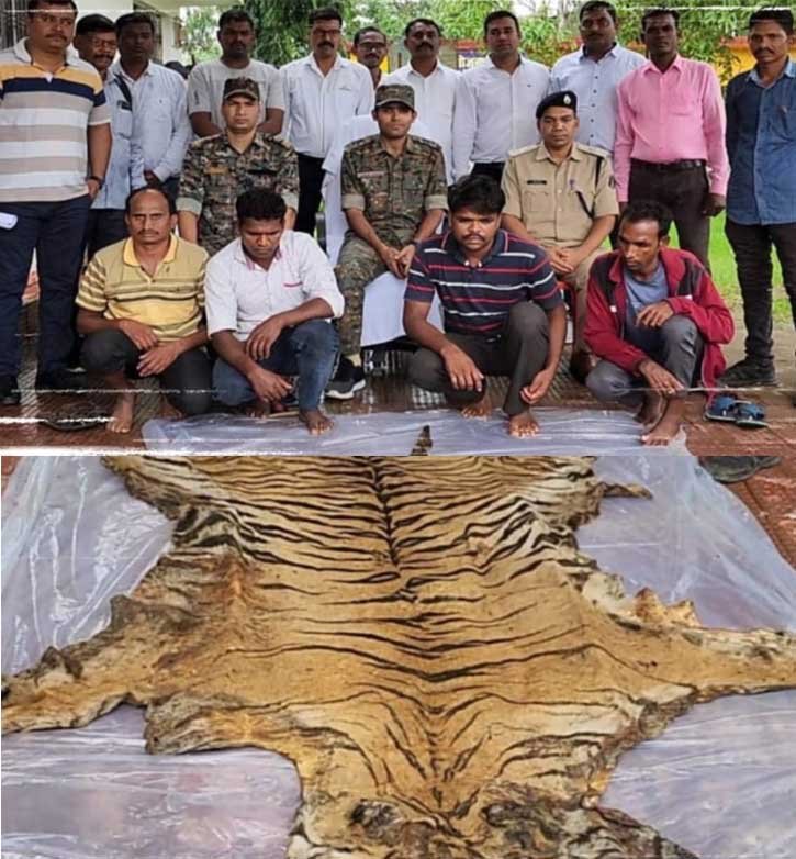 20230721164942_baagh ki khal