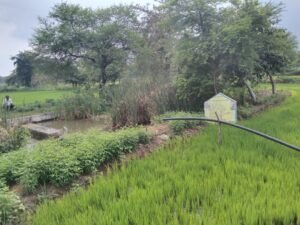 1690960453_e5be658377a16670868e