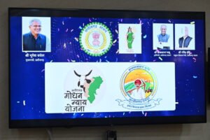 1691232339_e2e33a32963427f943db