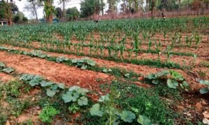 1691751520_27a66bb9e0e070a357f4