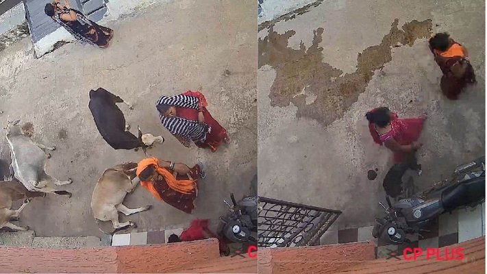 20230819121607_kinnar