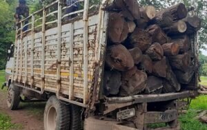 20230820094603_lakdi