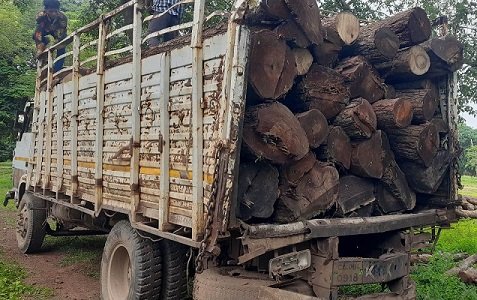 20230820094603_lakdi