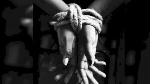 image_750x_64d381b03066d