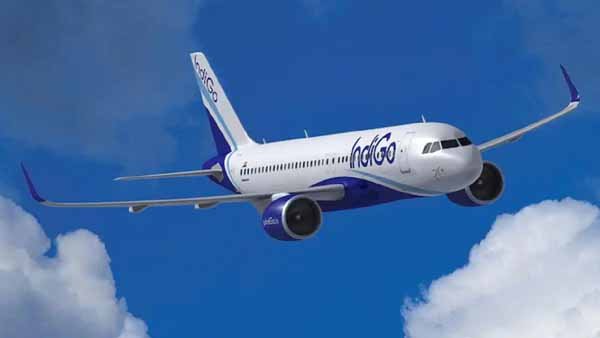 indigo_airlines-1.jpg