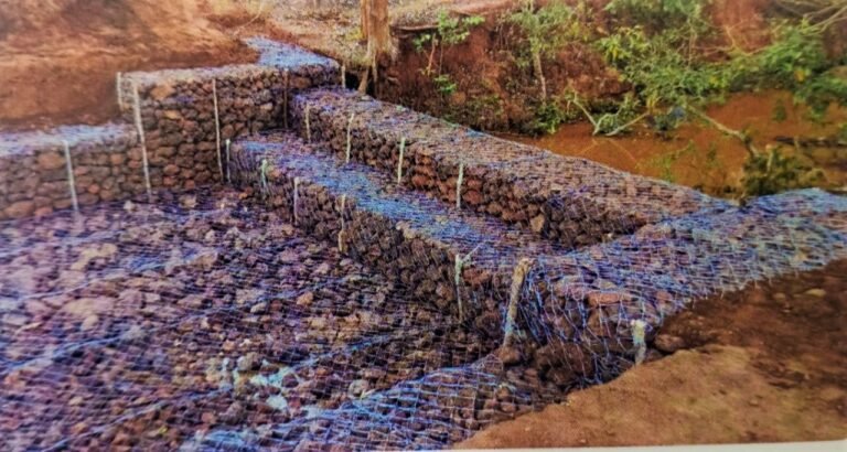 1693558209_b09785eee4de8020c290