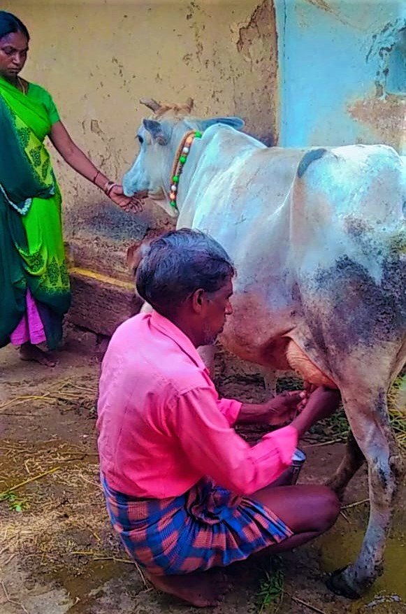 1693999169_a4275a1e8653f465bc75