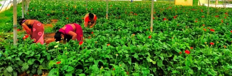 1694160101_a793ca8cf95e20a3baf6