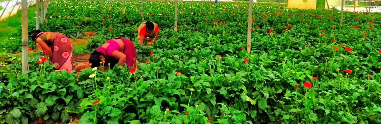 1694160101_a793ca8cf95e20a3baf6