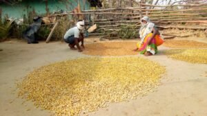 1695192577_d310f34635868b958749