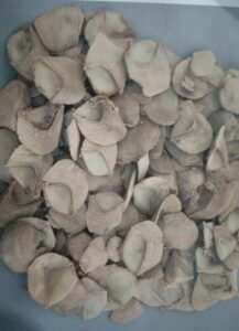 1695213764_b65f5006f1aec287a772