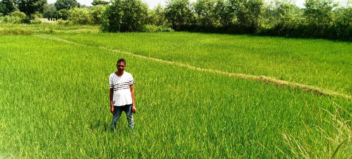 1695288193_1e68009306a461be3a77