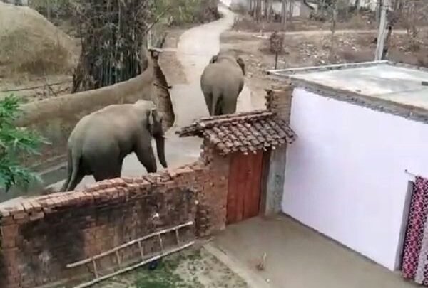 20230628114218_hathi