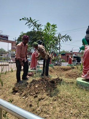 20230916162359_greeen (2)