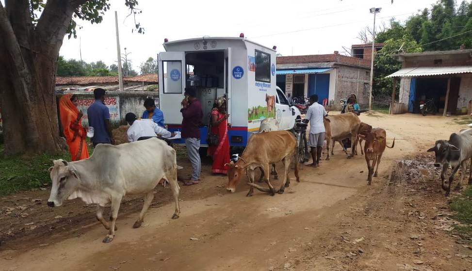 20230922154819_pashu teem