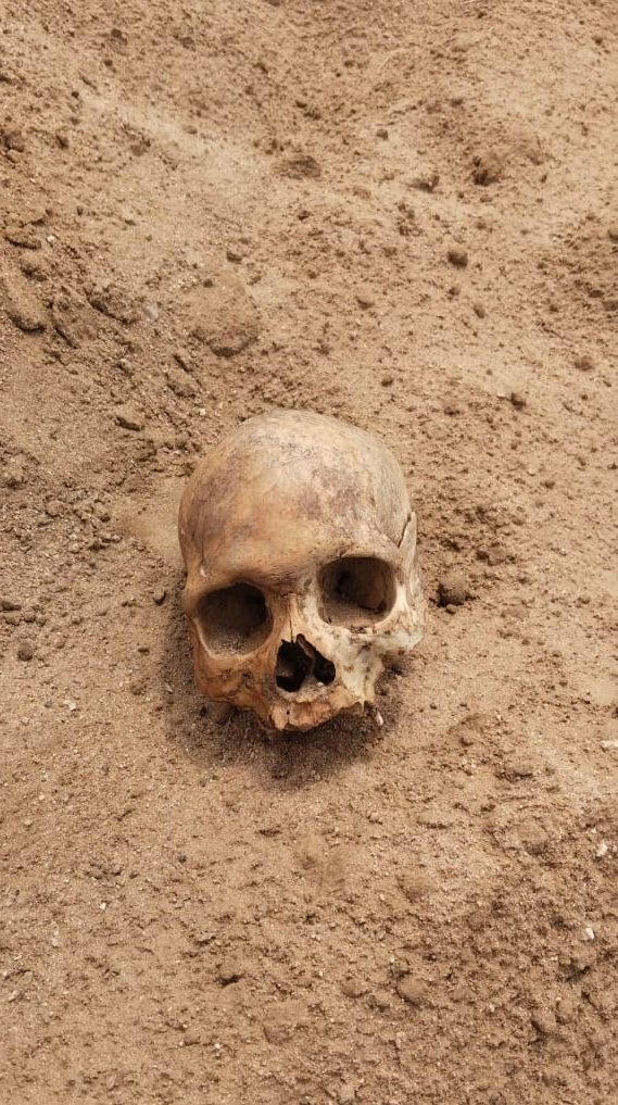 dbcl_169382630164f5bcfde3137_4kanker2