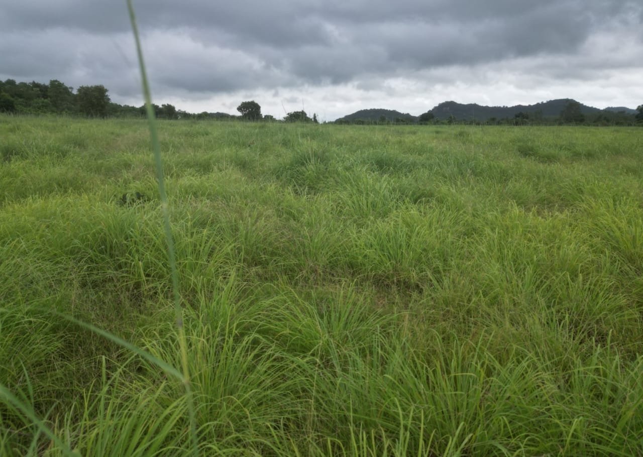 1696659127_104821eba23b6b74cf9a