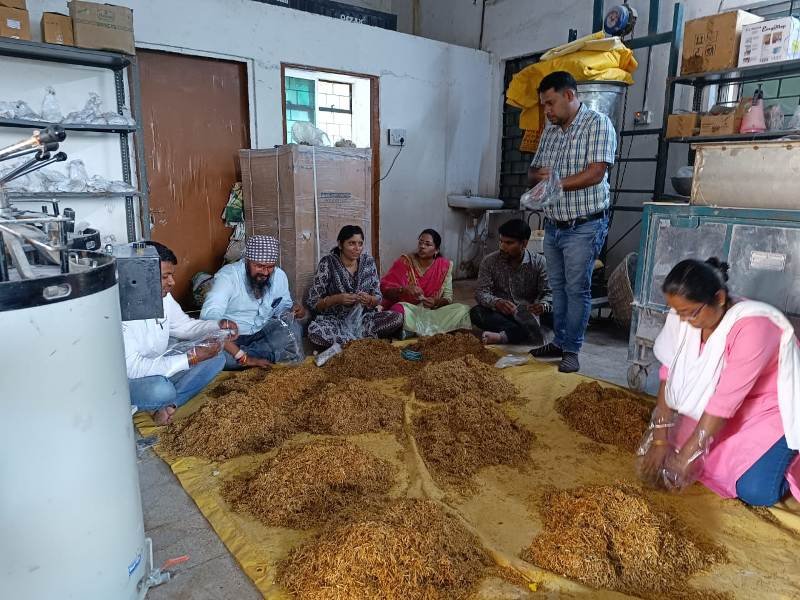 20231004180000_mushroom cultivation