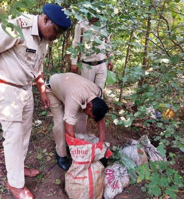 20231021155332_madira japt (2)