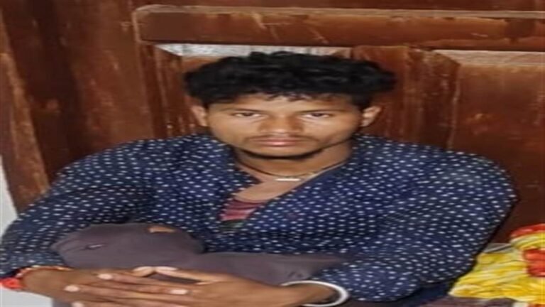 20231129095646_aaropi fore (1)