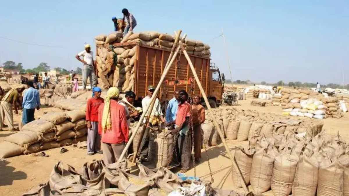 Bought-paddy-Dhan-Kharidi-1