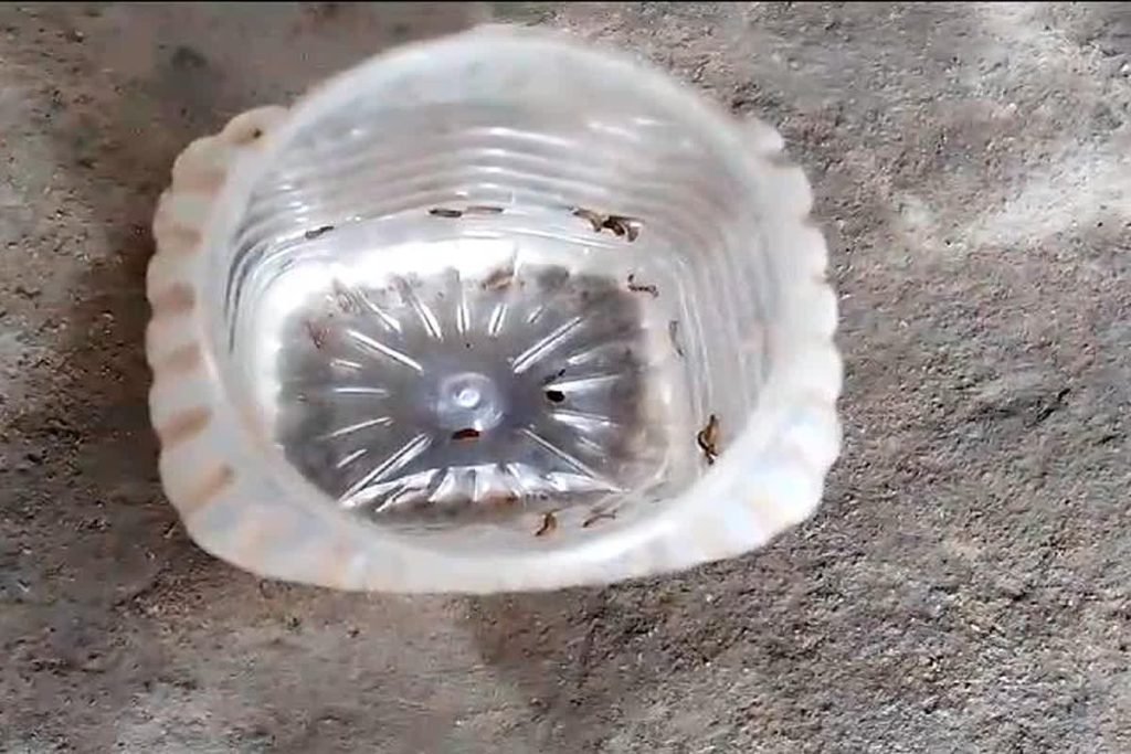 Untitled-24-copy-19-1024x683